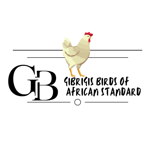 this is lg